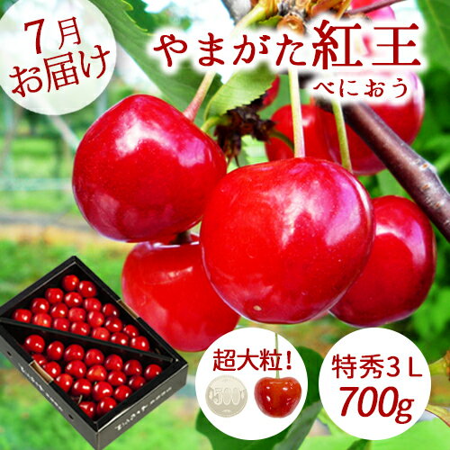 6ܤ7ܤϤγեȥץ쥼Ȥ渵£ѹȲޤȲý3L700g̵ͤ