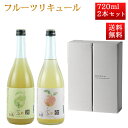 楯の川 子宝 フルーツ リキュール 720ml 2本セット ラフランス りんご 楯野川 山形県酒田市 山形 お酒