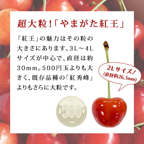 5月お届け さくらんぼ ハウス 温室 大粒 贈答用 紅王 やまがた紅王 山形県産 特秀2...