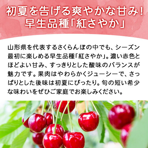 5月末〜6月上旬お届け予定 さくらんぼ 紅さやか 700g バラ詰 MLサイズ 山形県産 ク...