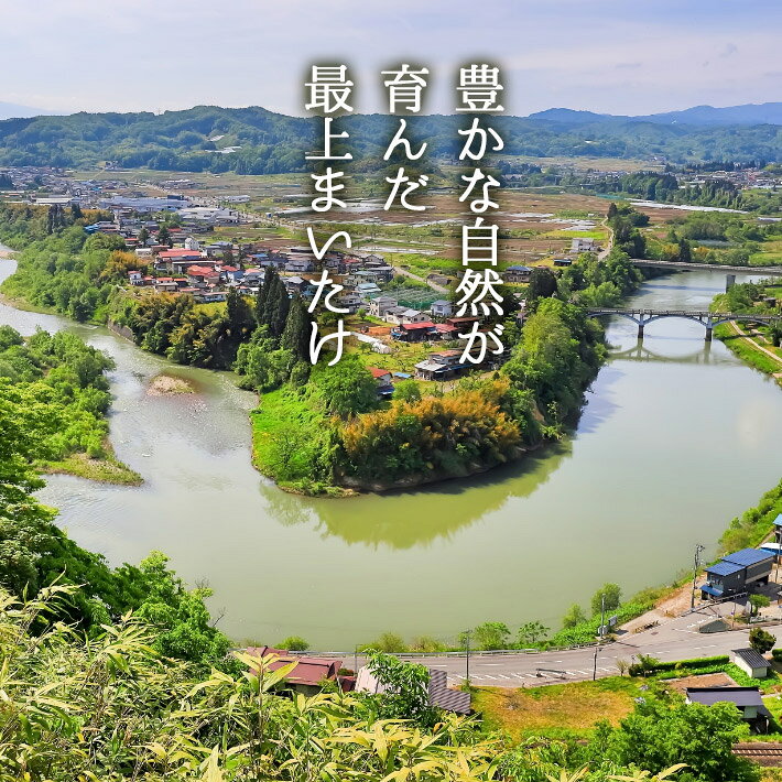 乾燥なめこ 干しなめこ 15g 山形県鮭川村産 最上まいたけ 乾燥きのこ きのこ なめこ 保存食 常温保存 国産 山形県産 残暑見舞い 帰省暮 yamagatamaru-10011150 まるごと山形 サンプル画像2