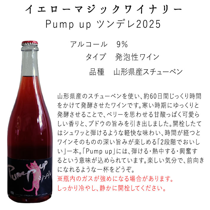 ナチュラルワイン 泡 自然派ワイン イエローマジックワイナリー パンプ アップ ツンデレ 2025 750ml 山形 南陽 クール便 スパークリングワイン ナチュールワイン 日本ワイン 山形ワイン 国産ワイン 酸化防止剤無添加 yamagatamaru-10011287 まるごと山形 サンプル画像2