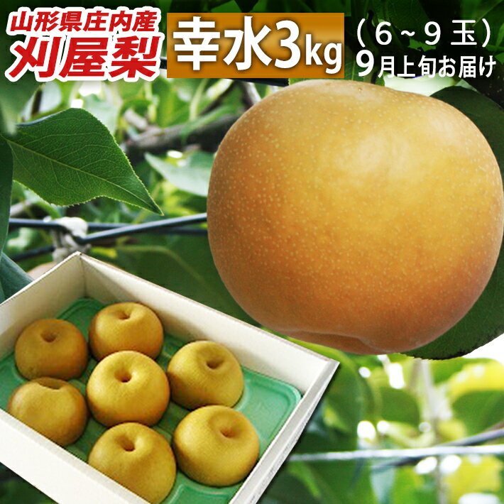 梨 9月上旬～発送開始 和梨 山形県酒田市産 刈屋梨 幸水 3kg(7玉～9玉) お取り寄せ