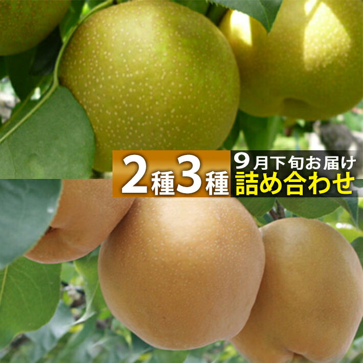 和梨 9月下旬〜11月上旬頃発送予定 山形県庄内酒田市産 刈屋梨 2種3種詰め合わせセット 約5kg 玉数おまかせ 生産元直送の為同梱不可 旬の和梨を食べ比べ