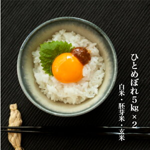 【送料無料】ひとめぼれ 10kg(5kg×2)山形県産 白米 胚芽米 玄米【沖縄・離島+2300円】米 お米 コメ 庄内米 酒田
