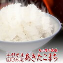 令和4年産 山形県産 あきたこまち 白米10kg（5kg2袋）送料無料 1等米 米 コメ お米