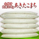 新米令和元年産 山形県産 あきたこまち 6袋小分け無料精米後...