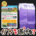 ○イノブタの大嫌いな20種類以上の天然植物を顆粒状にしました。 ○空気は通すが水は通さない特殊な不織布で包み、しかもイノブタの大嫌いな紫色にしています。 ○丈夫なひもに結束バンドで結ぶだけです。 ○地面からの高さが30cm〔鼻の高さ〕にして1m間隔で設置します。 ○鈴が付いており、更に撃退効果を高めています。 商品名 イノシシなぜ逃げる？ イノブタ用 重さ 20g×50個 素材 20種類以上の天然植物 不織布（PET） サイズ 33cm&times;9．5cm 〔特殊な不織布〕 カラス・ハクビシンなどの撃退対策なら山形屋イノシシなぜ逃げる？／イノブタ用／　天然物質で確実撃退