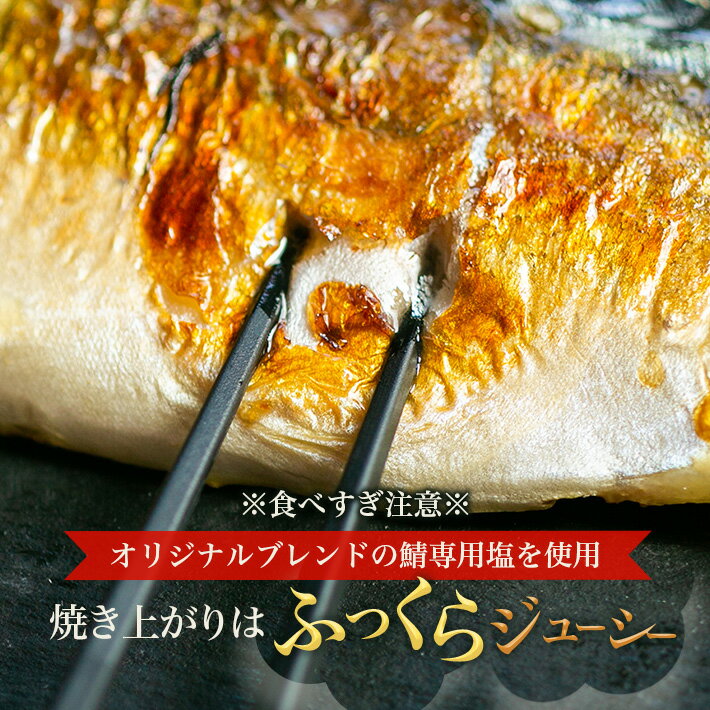 【脂乗り抜群！塩焼きにおすすめ】［定塩］トロ塩さば(2キロ) ※骨付き※｜ さば 業務用 ノルウェー産 大きい さば 無添加 塩さば 鯖 おかず 送料無料 冷凍食品 贅沢 魚 サバ しおさば トロさば グルメ 晩ご飯 お弁当 特大 銚子 冷凍 食品 飯田商店 海鮮 3