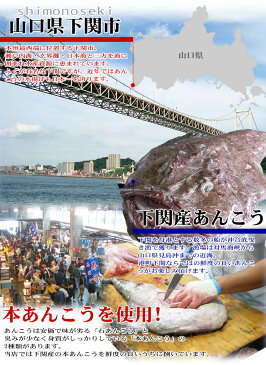 あんこう鍋セット（3-4人前 山口県下関産 本あんこう） アンコウ 鮟鱇 お歳暮ギフト 年末グルメ お取り寄せ