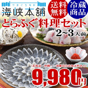 とらふぐ料理セット（24cmプラ皿2-3人前） ふぐ フグ 河豚 ふぐ刺し ふぐ鍋 父の日 ギフト お取り寄せ