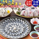 とらふぐ料理セット(24cmプラ皿2-3人前) 冷蔵 ふぐ セット フグ ふぐ刺し ふぐ鍋 お歳暮 ギフト お取り寄せグルメ 山口県
