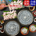 とらふぐ料理セット(34cmプラ皿2枚10-12人前)冷蔵 朝獲れ活締め ふぐ セット フグ ふぐ刺し ふぐ鍋 お歳暮 ギフト お取り寄せグルメ 山口県
