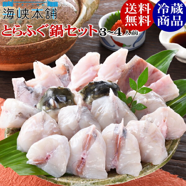 とらフグ とらふぐ鍋セット（3-4人前 500g） もしもツアーズで紹介 朝獲れ活締め ふぐ フグ ふぐちり てっちり ふぐ鍋 お歳暮 ギフト お取り寄せグルメ 山口県