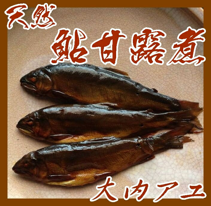 【山口県】【山口市平井】【ふしの川漁協】天然あゆ甘露煮