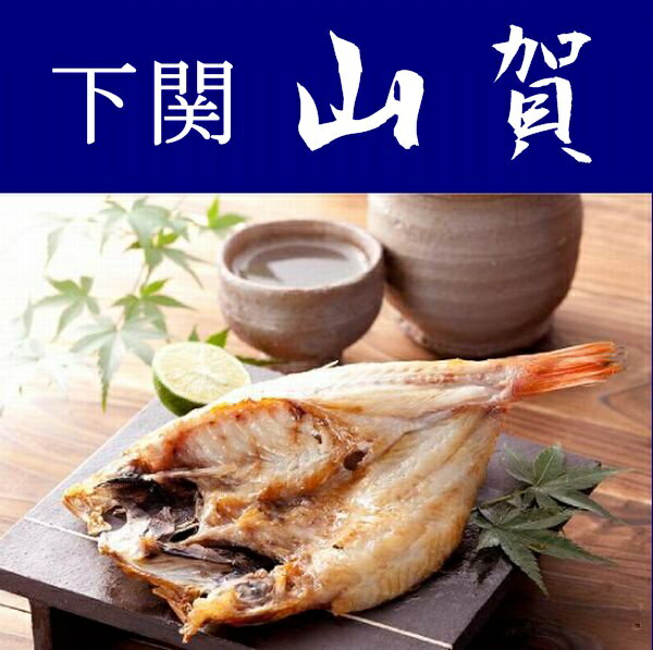 【送料無料】【山口県】【下関市彦島】【山賀】下関前浜 熟成のどぐろ4尾セット(Lサイズ) ※北海道・沖縄、離島は送れません※