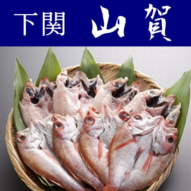 【送料無料】【山口県】【下関市彦島】【山賀】下関産のどぐろ開き干し8尾セット(Мサイズ)※北海道・東北・沖縄、離島は送れません※