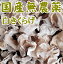 【送料無料】希少 山口県産白きくらげ100g(乾燥)【国産】【無農薬】【やまぐち開盛堂】※別途送料、東北500円、北海道・沖縄・離島1000円※