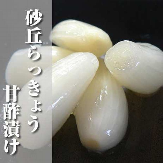 【送料無料】【鳥取県】【幸屋浅漬本舗】砂丘らっきょう甘酢漬け500g※別途送料、東北500円、北海道1000円・沖縄、離島不可※