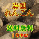 【送料無料】【山口県】【岩国市通津】【蓮根】【名水百選・桜井戸】【生産者直送】泥付き岩国レンコン10kg(10000566) - やまぐち開盛堂