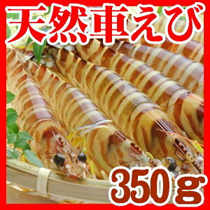 お中元で喜ばれる産地直送の活き車海老の通販おすすめランキング ベストオイシー お中元で喜ばれる産地直送の活き車海老の通販おすすめランキング ベストオイシー