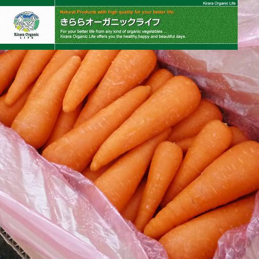 【山口県】【送料無料】【ハートアンドブレイン】　有機野菜　にんじん　10kg混合（業務用）※7月～10月は出荷出来ません。