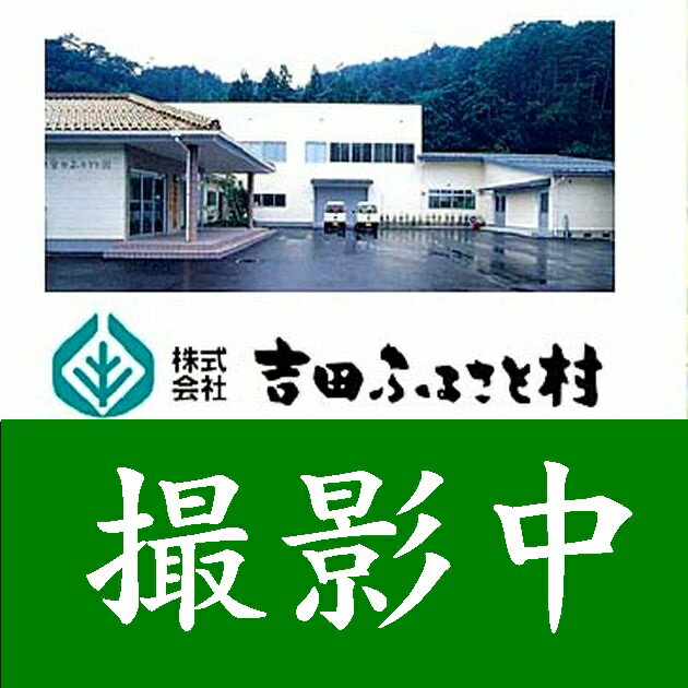 【島根県産】【業務用】にんにくしょうゆドレッシング500ml