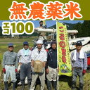 【山口県】【周南市八代】【生産者直詰】【エコ100認証米】【無農薬栽培】【冬期湛水米】【玄米】つるの里米こしひかり10kg