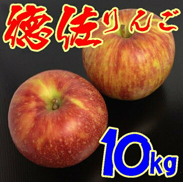 【9月初旬発送から】【送料無料】際立つ甘さ　阿東徳佐りんご10kg【山口県】【西日本一のりんご園】※別途送料、東北500円、北海道1000円・沖縄、離島不可※