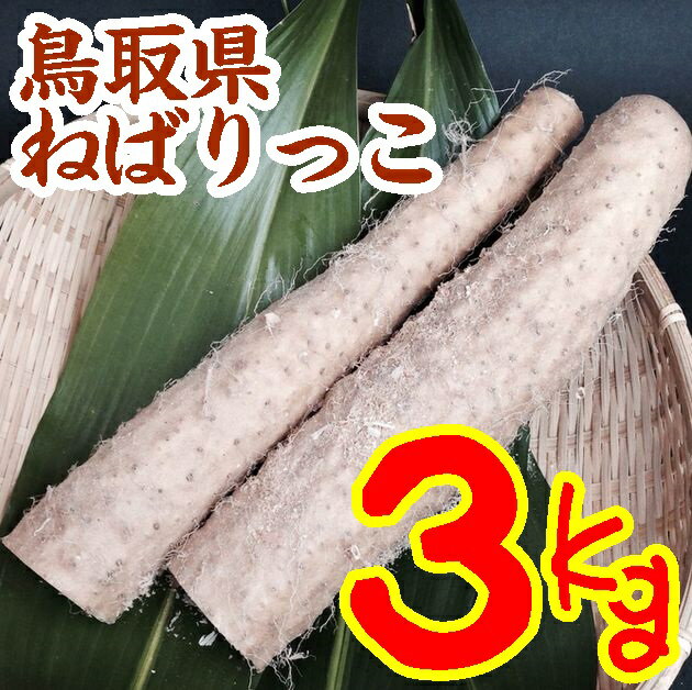 ※こちらの商品は鳥取廣信青果からの発送です※ 商品明細 商品名 ねばりっこ 内容量 3kg（2L〜3L） 保存方法 新聞紙で包んで、湿気の少ない冷暗所に保管してください。1〜2ヶ月は保存可能です。 長時間保存して芽が出た場合は、毒はありませんのでその都度取り除いてください。 販売者 鳥取廣信青果 商品説明 鳥取県を代表する「砂丘ながいも」は、本県中部の砂丘地帯で栽培されており、サクサクしていて歯ざわりが良く、まっすぐ長いのが特徴です。その「砂丘ながいも」と粘りの強い「いちょういも」を掛け合わせて誕生したのが「ねばりっこ」です。「ねばりっこ」は、本県の園芸試験場で開発育成された新品種で、従来の「砂丘ながいも」に比べて小ぶりで折れにくく、肉質が緻密で粘りが強くアクが少ないのが特徴です。 注意 こちらの商品は他のメーカーとは同梱できません。 生産者からの発送になります 。　