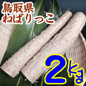 【送料無料】【鳥取県】【鳥取市南安長】【鳥取廣信青果】砂丘ながいも・ねばりっこ2Kg※別途送料、東北500円、北海道1000円・沖縄、離島不可※