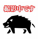 ※この商品は静食品からの直送になります※ 商品明細 商品名 長州ジビエイノシシ肉 内容量 ヒレ肉ブロック1kg 原材料 猪肉（山口県産） 賞味期限 製造日より1年 保存方法 要冷凍（−18℃以下で保存してください ） 製造者 静食品株式会社 商品説明 山口県下関市は海の幸、山の幸に恵まれた気候穏やかな地です。餌も豊富なこの自然の中で育った、イノシシを市の衛生的な施設で処理・解体しました。独特の獣臭もなく、お客様にも非常に喜ばれています。猪肉は地元でも冬場の鍋用として消費されてきましたが、夏の脂肪の少ない猪肉も洋食メニュー、バーベキュー等に喜ばれています。 注意 こちらの商品は他のメーカーとは同梱できません。 静食品の他の商品とは同梱できます 。特徴として【3D冷凍方式】による瞬間冷凍を行っています 3D冷凍方式は細胞膜を破壊せず、ドリップと食材劣化を軽減する冷凍方式です。 食材の水分をほとんど奪わず、乾燥させにくい特色があります。 解凍後も鮮度や風味を維持します。 長州ジビエは山口県下関産の精肉のプロが加工した天然鹿肉、天然猪肉のブランドです。 下関より産地直送でお届けいたします