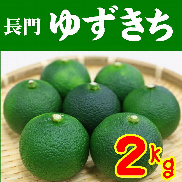 【送料無料】長門ゆずきち2kg（特撰）【やまぐちブランド】【山口県】【長門市】※別途送料、東北500円、北海道1000円、沖縄、離島は送れません※のサムネイル