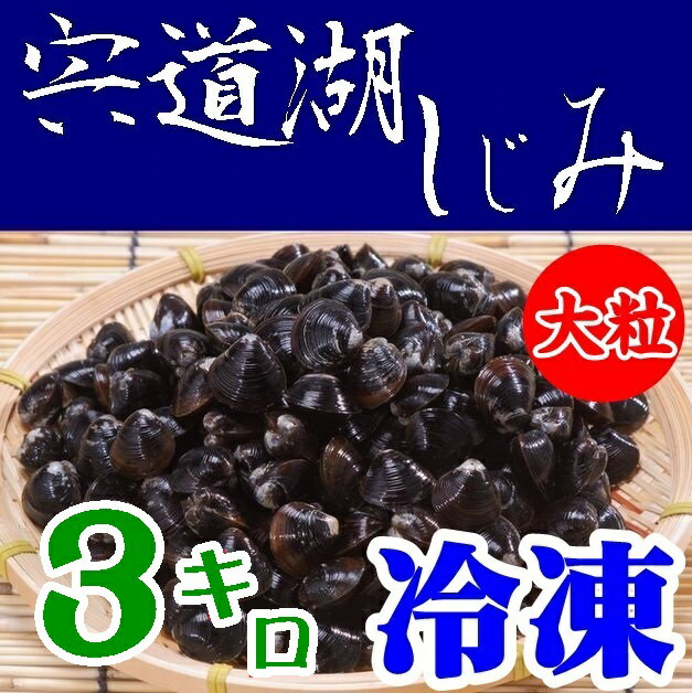 【送料無料】【砂抜き】宍道湖産　朝獲れしじみ（冷凍）大粒3kg※別途送料、東北500円、北海道1000円・沖縄、離島不可※ 【島根県】【松江市中原町】【平野缶詰】 1