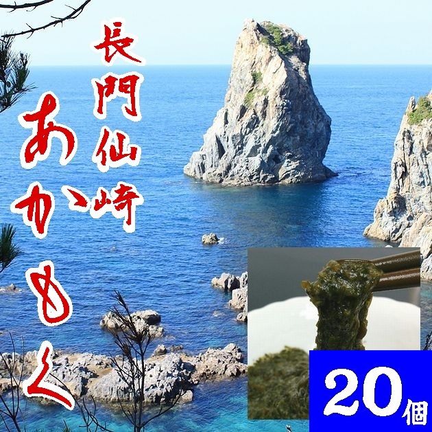 【送料無料】【冷凍】山口県産アカモク30gX20個※別途送料