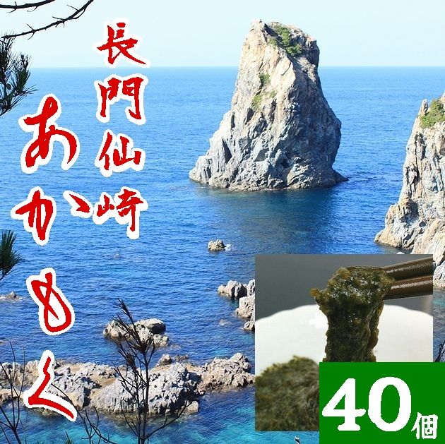 【ふるさと納税】紀州あかもく［由良町産］100g×10パック（2023年産） | 楽天ふるさと 納税 返礼品 支援品 支援 返礼 海藻 アカモク あかもく お取り寄せグルメ ご当地グルメ 名産品 特産品 取り寄せ グルメ 食品 食べ物 食料品 食材 海の幸 海藻類 お土産