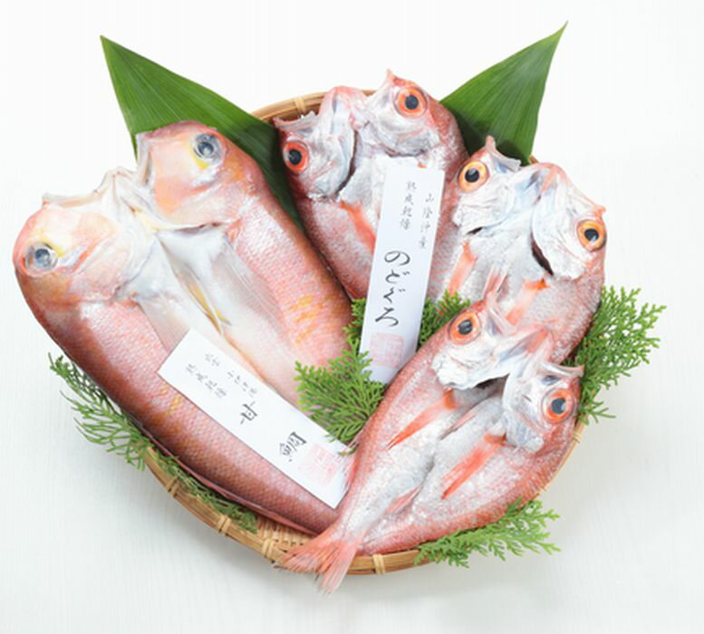 【送料無料】【出雲小伊津港産】天然干物2種セット「いさり」【冷凍】【島根県出雲市】【小伊津海旬房】※別途送料、東北500円、北海道・沖縄・離島1000円かかります※