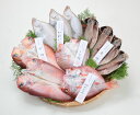 【送料無料】【出雲小伊津港産】天然干物5種セット「あかり」【冷凍】【島根県出雲市】【小伊津海旬房】※別途送料、東北500円、北海道・沖縄・離島1000円かかります※