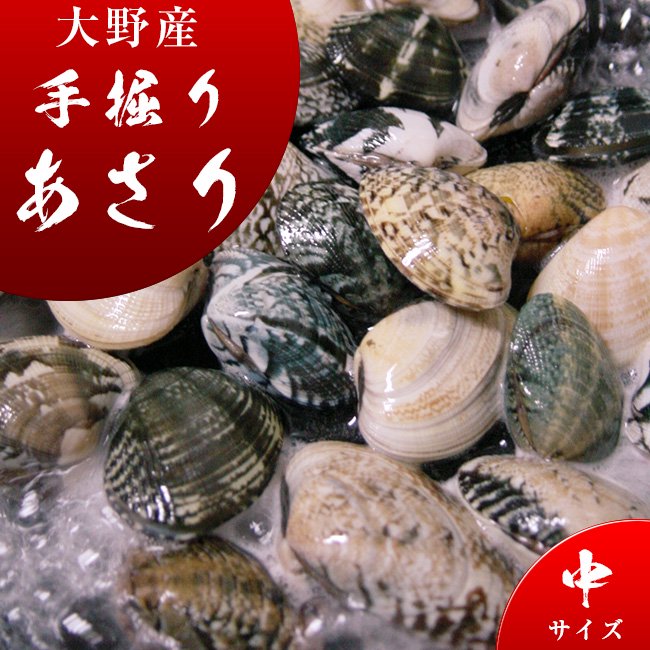 【鮮魚】浅利〈アサリ〉1Kg前後、66粒前後