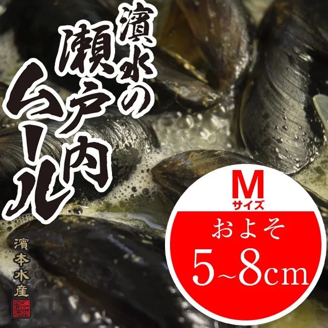 【広島直送】広島湾産「天然　活きムール貝　Lサイズ　3kg（宮島ムール）」