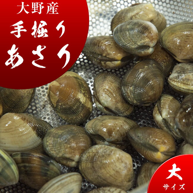 【鮮魚】浅利〈アサリ〉1Kg前後、66粒前後