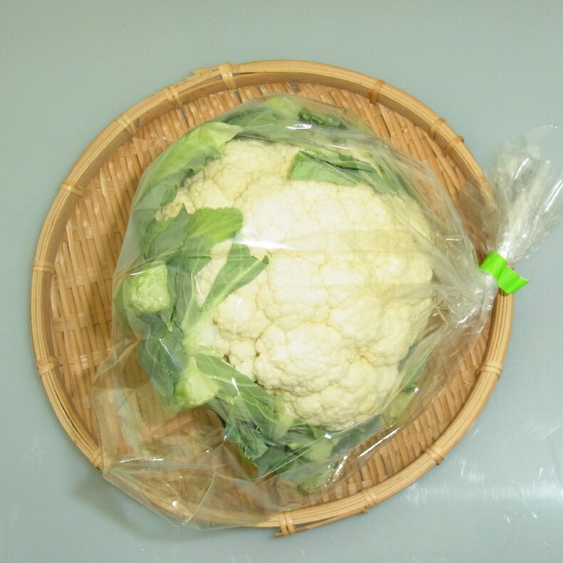 福岡県産『カリフラワー』【野菜詰め合わせセットと同梱で送料無料】