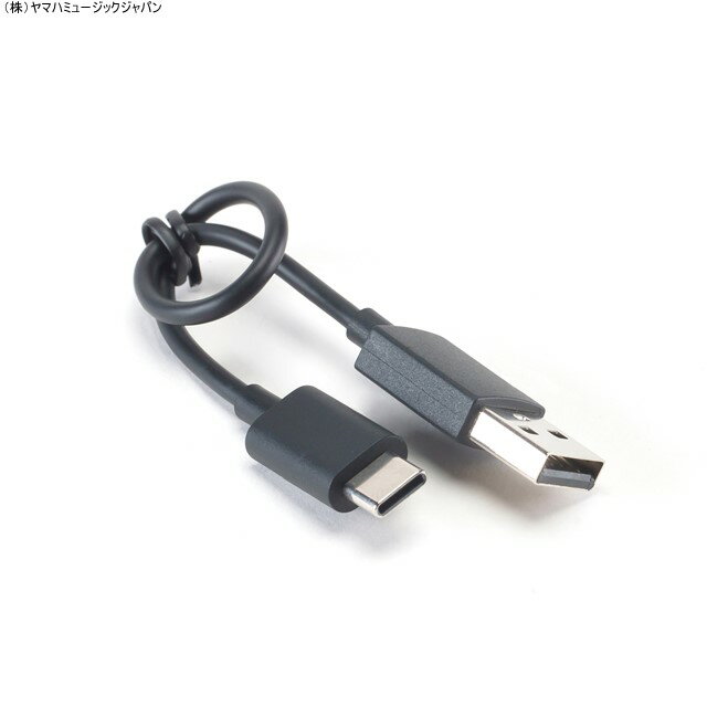 商品説明 メーカー品番 5C052180 YAMAHA ヤマハ 商品名 USB給電ケーブル TW-E7B 商品内容 出荷単位：1個 長さ：20cm USB Type A-Type C 適合機種 TW-E7B 注意 TWE7B