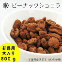 千葉県産落花生と最高級チョコレートで作ったピーナッツショコラ 500gグランプラス ゆうパケット クーベルチュール 千葉県産 ベルギーチョコ 高級　ゆうパケット