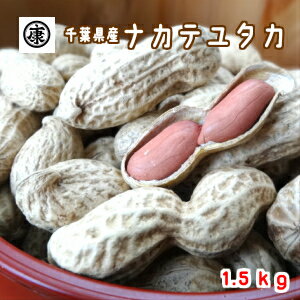 新豆！令和元年産【期間限定超特価1.5kg】【送料無料(中国地方のぞく本州)】超特価！超大盛！千葉県産ナカテユタカ1.5kg(500g×3袋)【健康】【ピーナッツ】【ギフト】yp ギフト お中元 お歳暮 贈答用