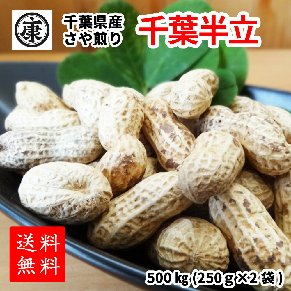 【送料無料】令和4年産新豆 千葉半立種さや煎り落花生500g(250g×2袋)原料トレース可【お中元】【お歳暮】【楽ギフ_包装】【楽ギフ_のし】【楽ギフ_のし宛書】yp【ギフト】