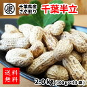 令和5年産　半立・小分け2kg！【送料無料】千葉半立種さや煎り落花生2kg(100g×20袋)原料トレース可【お中元】【お歳暮】おみやげ 千葉みやげ