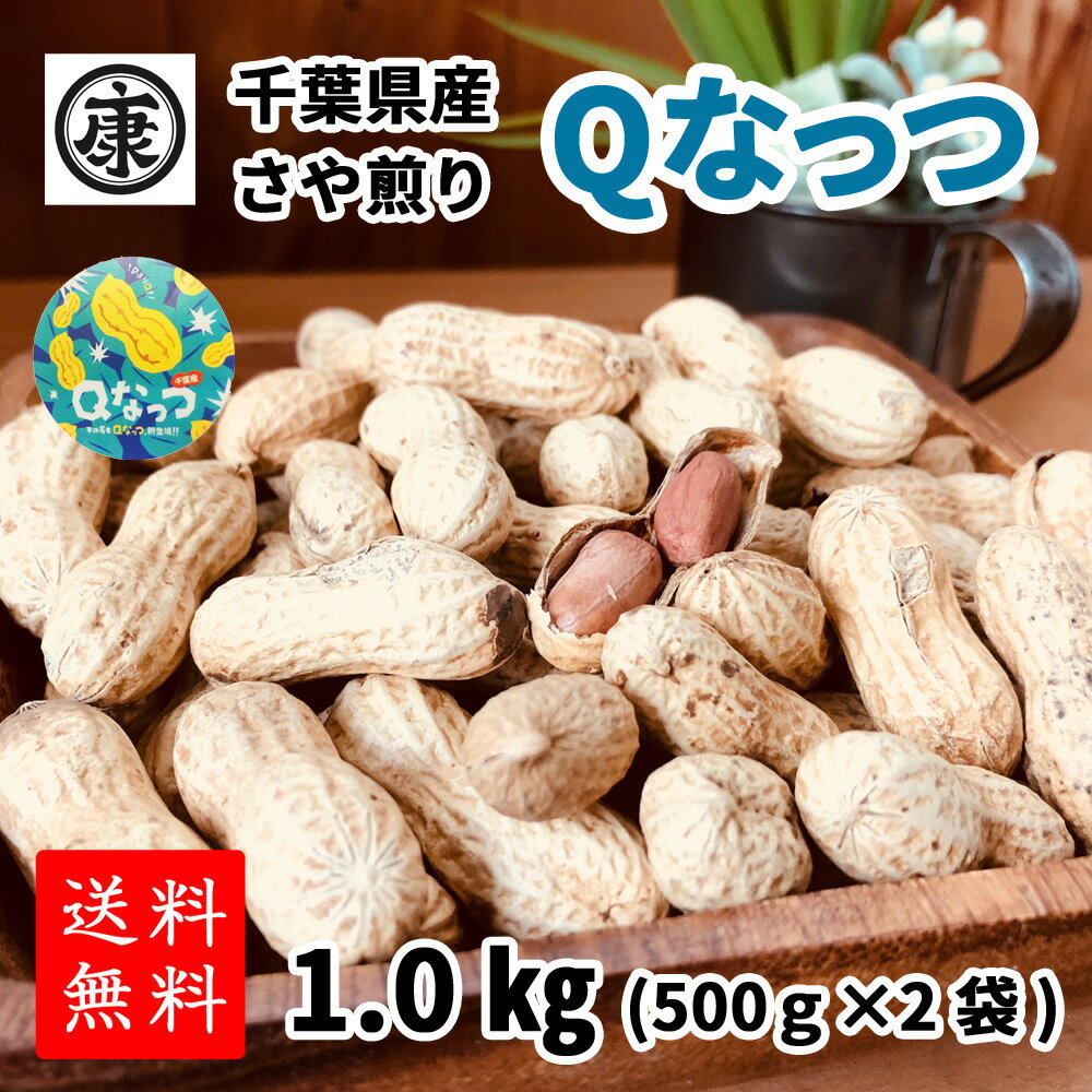 お得なクーポン配布中！送料無料 【令和4年産千葉県産Qなっつ さや煎り落花生1kg(500g×2袋)】ピーナッツ ギフト 千葉みやげ　yp yp