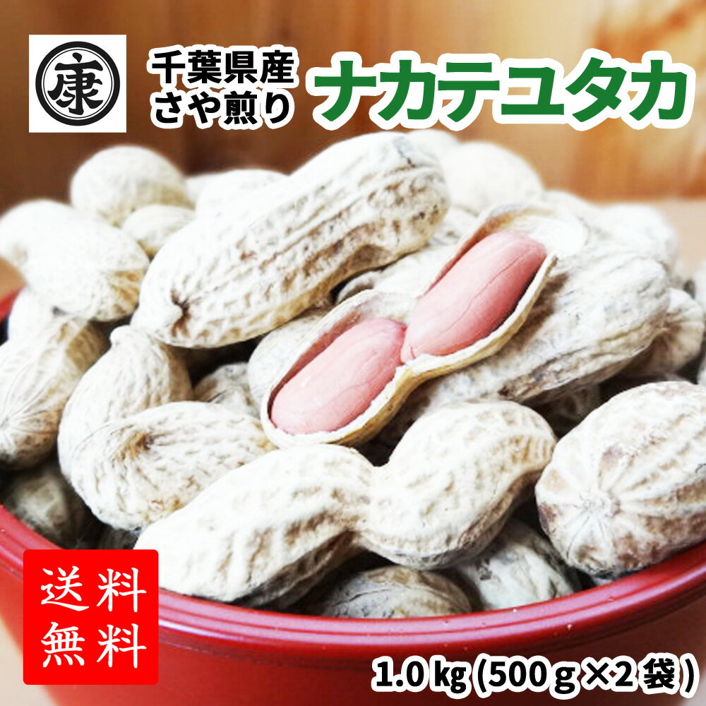 新豆！令和3年産【期間限定超特価1.0kg】【送料無料(中国地方のぞく本州)】超特価！超大盛！千葉県産ナカテユタカ1.0kg(500g×2袋)【健康】【ピーナッツ】【大入り】yp 父の日 ギフト お中元 お歳暮 贈答用