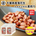 2023年度産 新豆 煎ざや(ナカテユタカ) 500g千葉県八街産落花生【週間落花生ランキング1位商品】